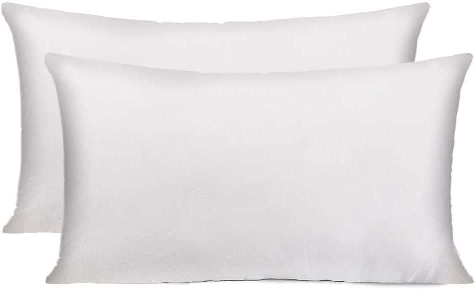HIPPIH Zipped Rectangle Pillow Inserts, 2-Pack