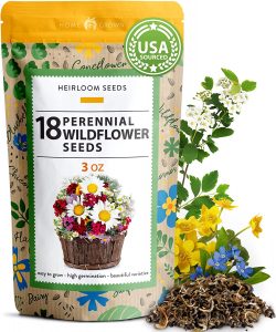 The Best Wildflower Seeds of 2023