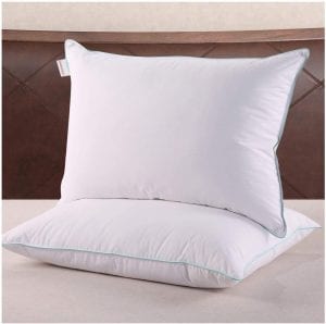 Homelike Moment Down Pillows, 2-Pack
