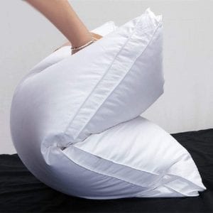 Hometyler Gusseted Goose Down Pillows