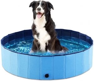 Jasonwell Foldable Dog Pet Bath & Pool