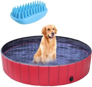 pedy Collapsible Dog Swimming Pool