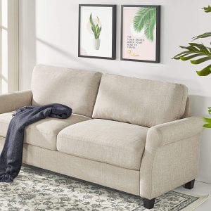 Zinus Josh Polyester Cushioned Couch