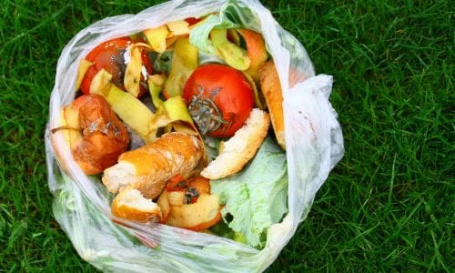Best Biodegradable Trash Bag