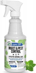 Mighty Mint Extra Concentrated Indoor Ant & Insect Spray