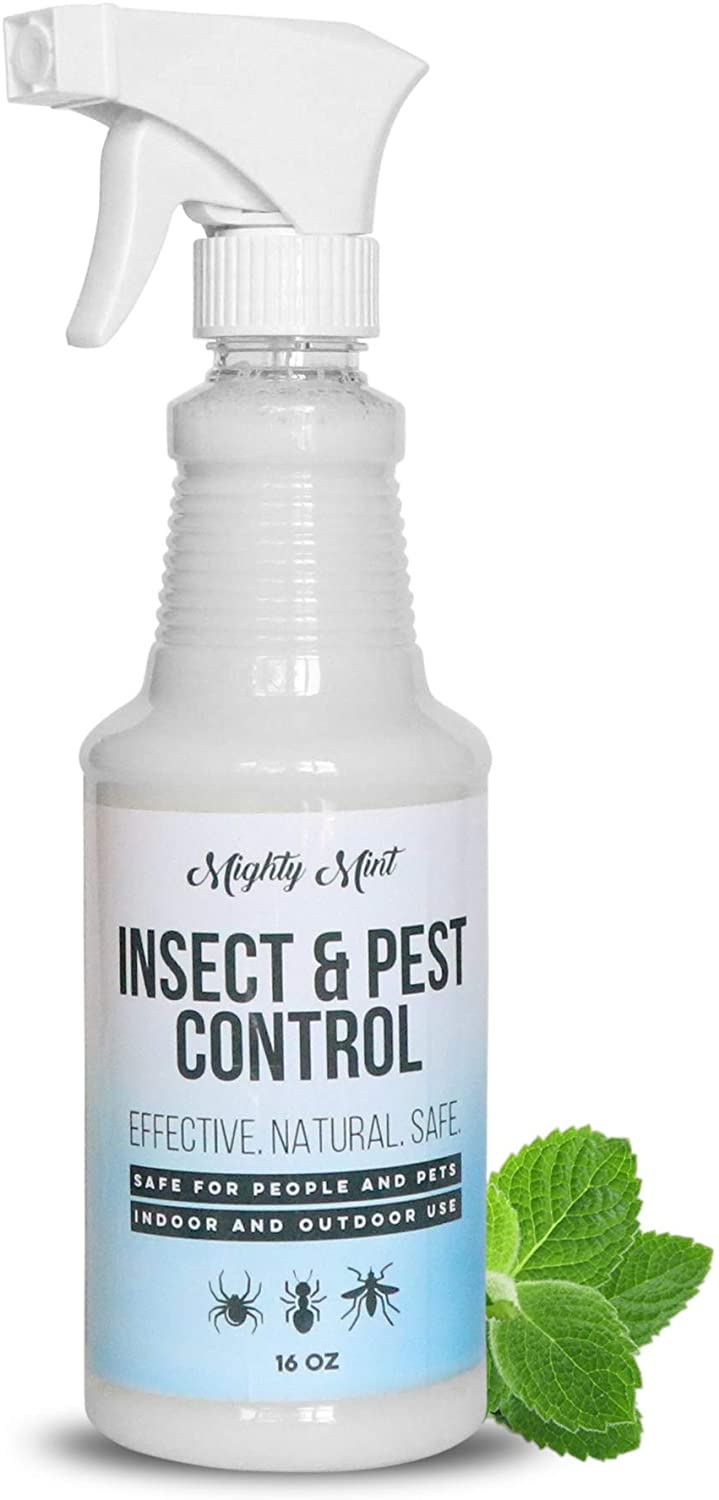 Mighty Mint Peppermint Oil Indoor Ant & Insect Spray