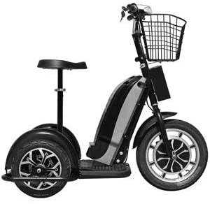 Mototec 48v 800w Sit & Stand Electric Scooter Trike
