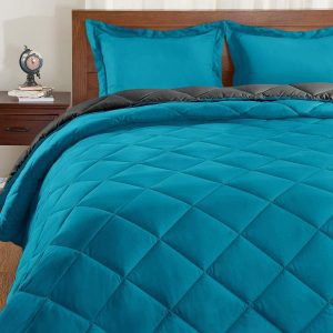 Basic Beyond Lightweight Comforter Set, 2-Piece