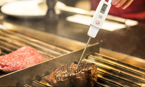 Best Digital Meat Thermometer