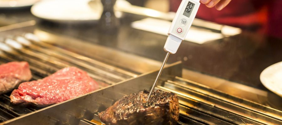 Best Digital Meat Thermometer