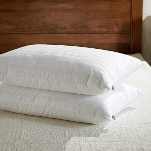 Downluxe Queen Goose Feather Down Pillow, 2-Pack