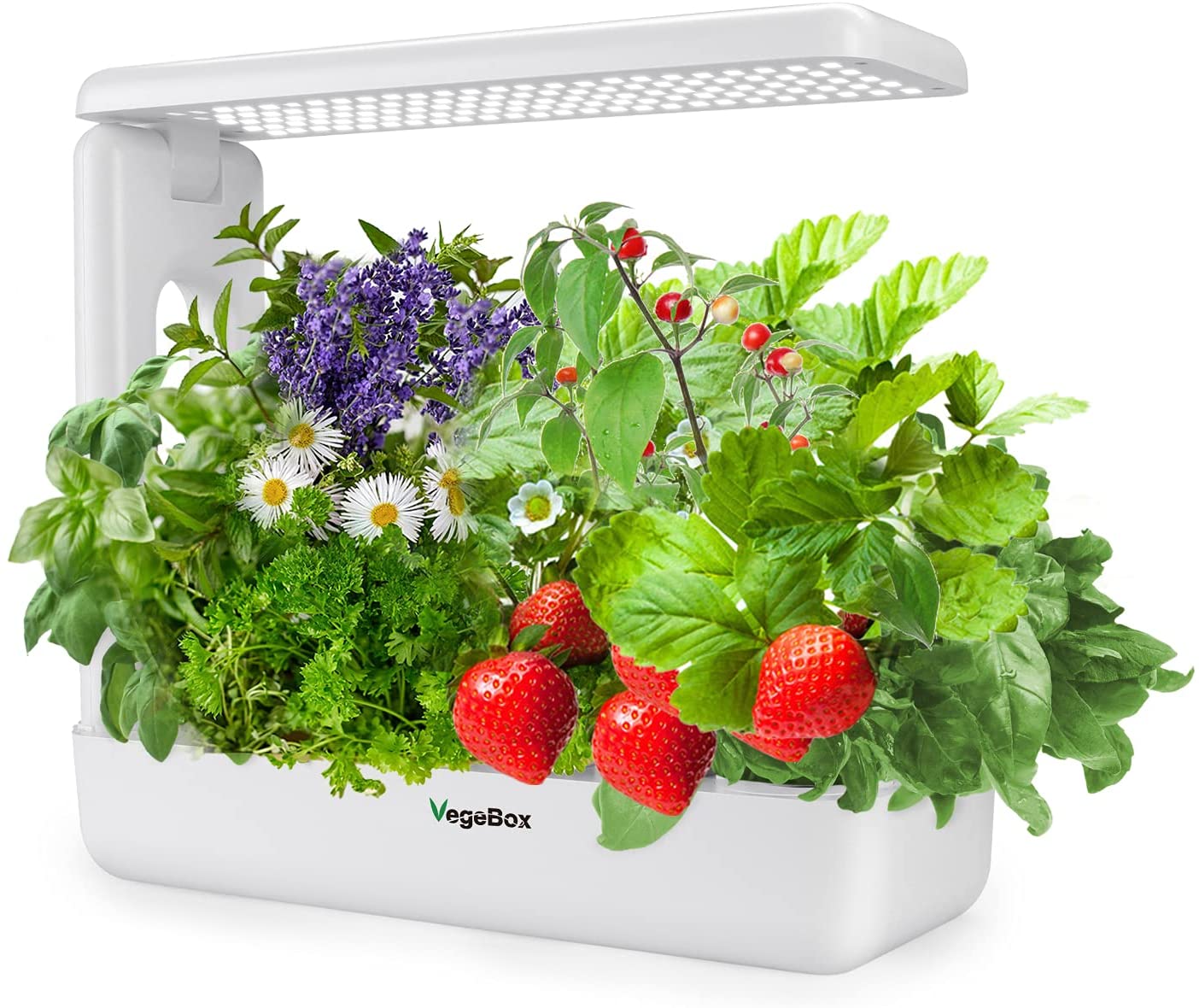 VegeBox Large Indoor Hydroponic Growing System, White