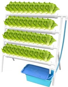 WEPLANT NFT Odorless Purifying Hydroponic Growing System, 36-Pod