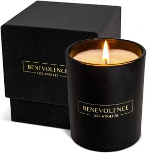 Benevolence LA Hand Poured All Natural Soy Candle