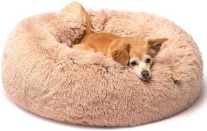 Friends Forever Calming Pet Bed For Office