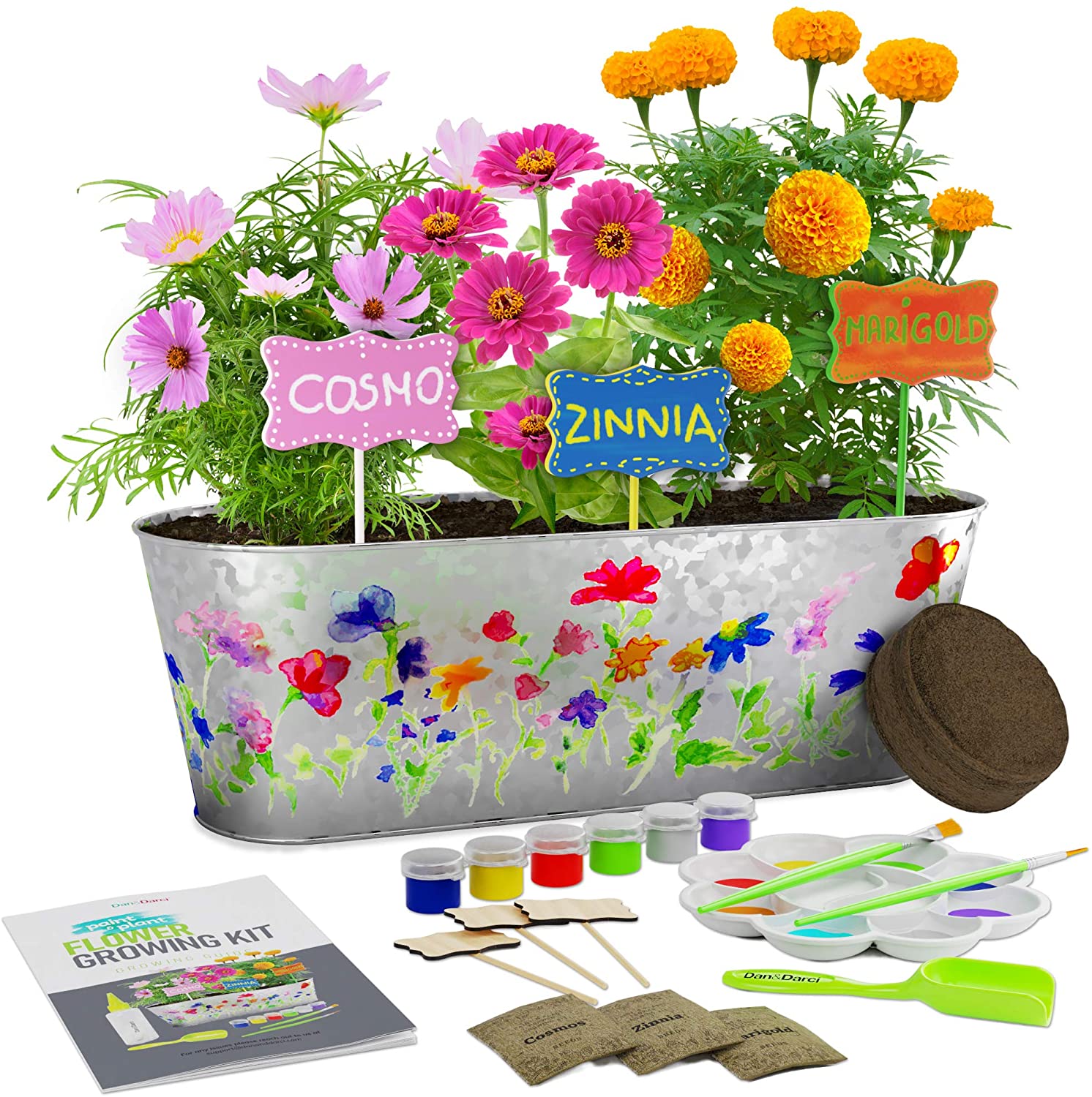 Dan&Darci Tin Paint & Plant Flower Growing Kit