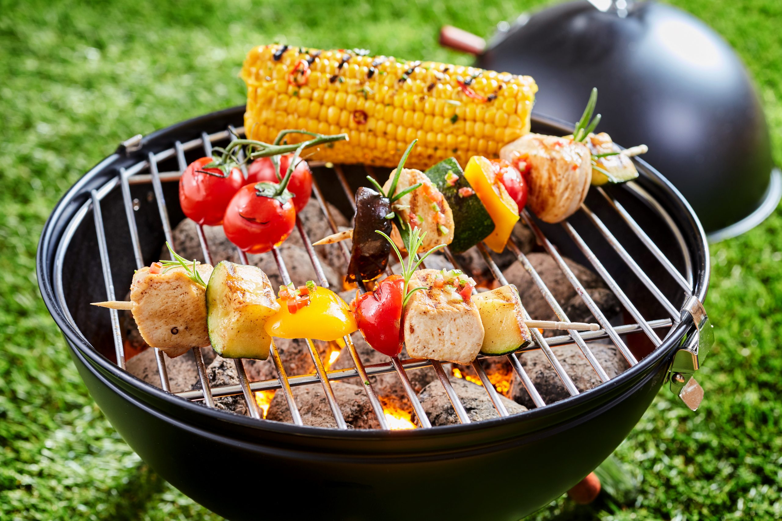 best portable grill