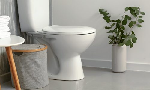 Best Corner Toilet