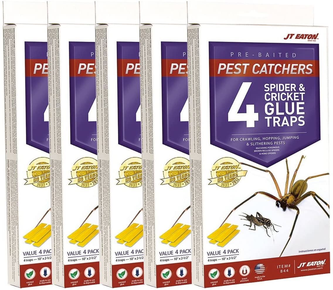 J T Eaton 076706844002 Plastic Glue Spider Trap, 5-Pack