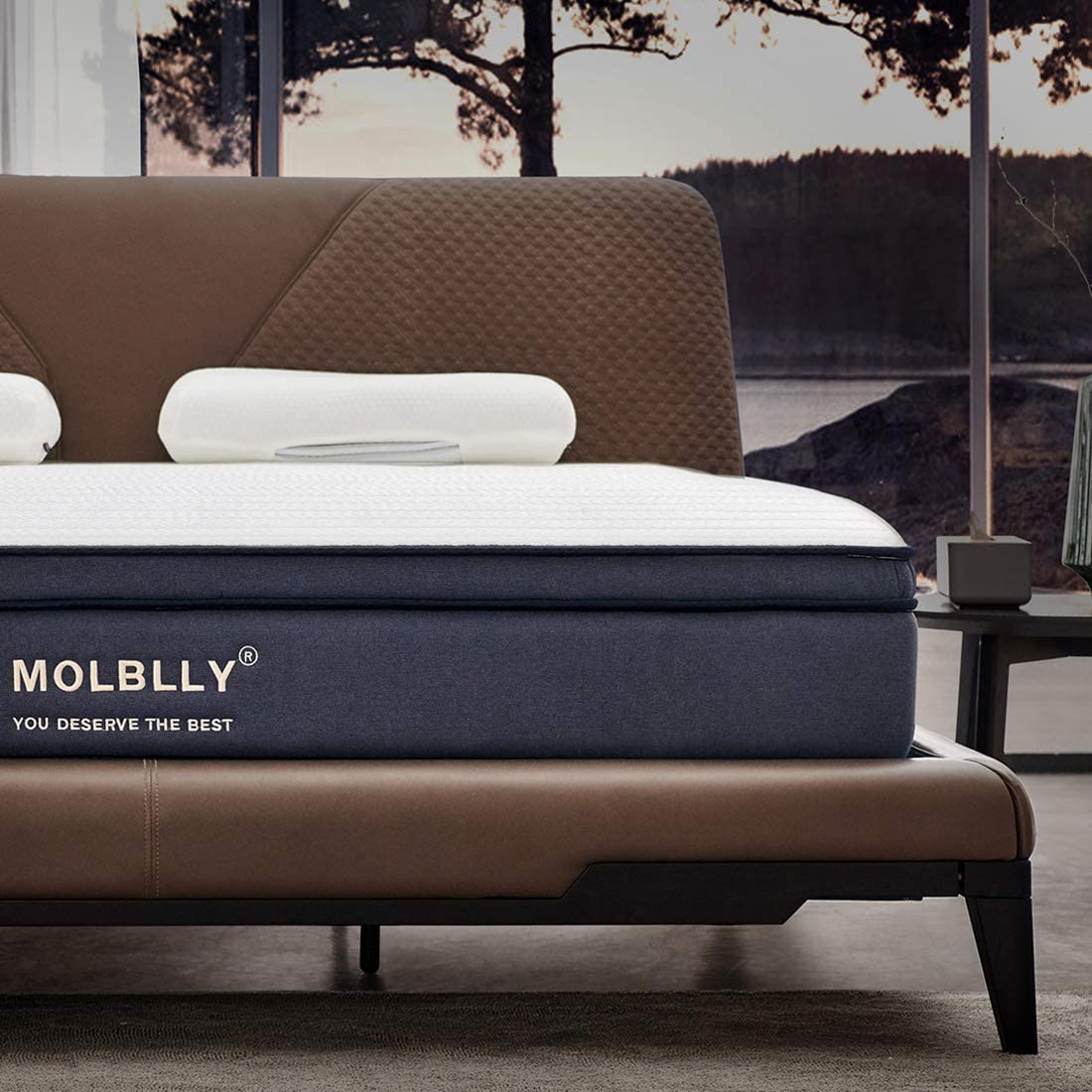 Molblly Pressure Relief Full Innerspring Mattress