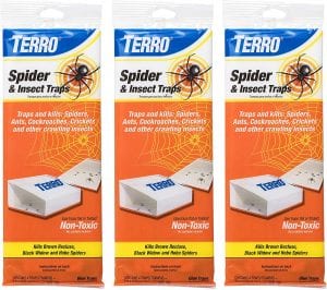 TERRO T3206SR Chemical Free Spider & Insect Traps, 12-Pack