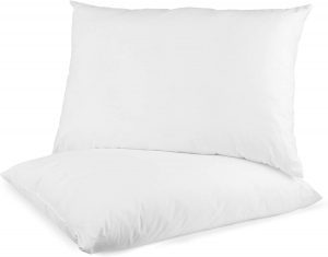 Digital Decor Down Alternative Standard Pillows, 2-Pack
