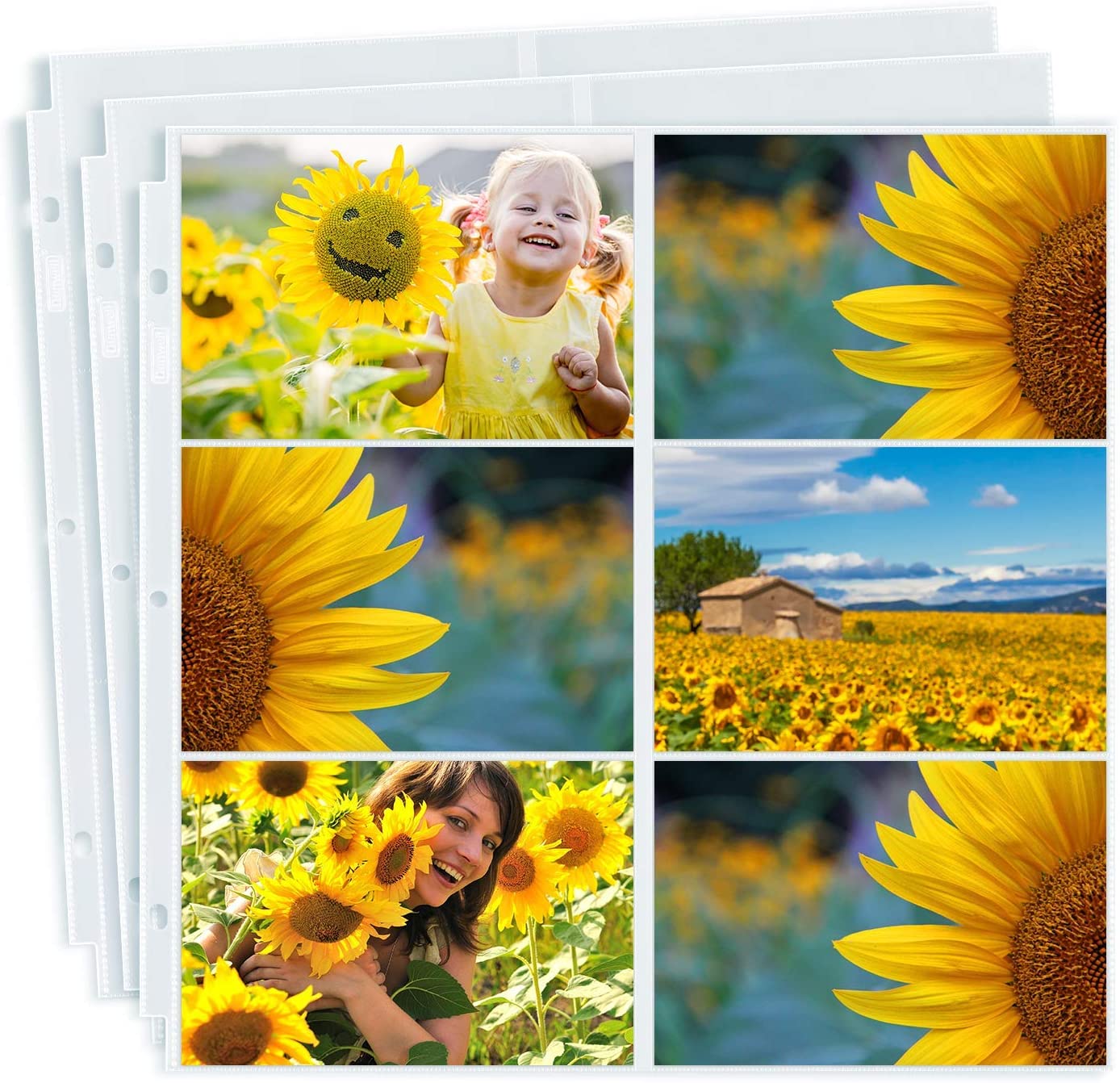 Dunwell 12 x 12-Inch Album Refills With 4 x 6-Inch Photo Pockets , 25-Pack
