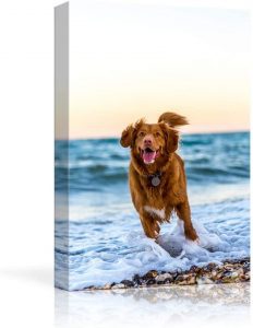 NWT Customizable Animal Themed Picture Canvas