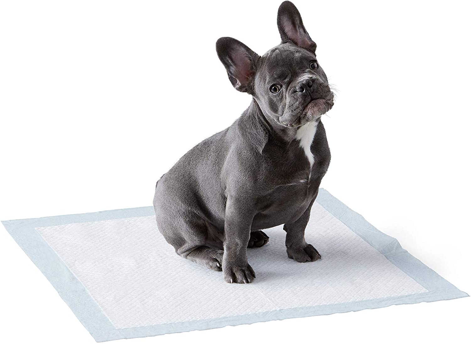 Amazon Basics Absorbent Quilted Pee Pads For Dogs, 50-Count