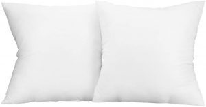 ANIOBMAN Breathable 20 x 20 Pillow Insert, Set Of 2