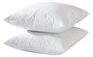 Basic Home Feather Down Ultra Soft 20 x 20 Pillow Insert, Set Of 2