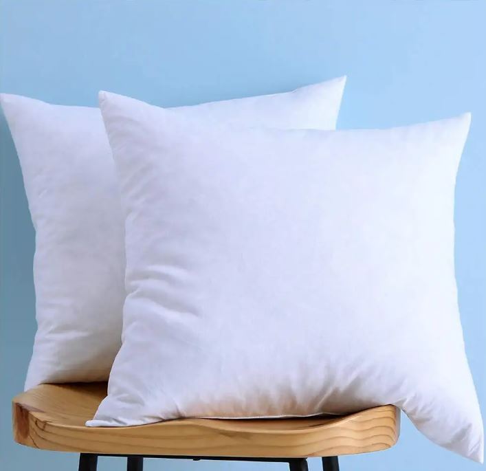 LunarTex Firm Home 20 x 20 Pillow Insert, Set Of 2