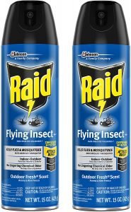 Raid Flying Insect Outdoor Fresh Scent Indoor Insect Spray, 2-Pack