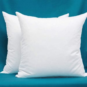 Warmwithann Easy Clean Feather 20 x 20 Pillow Insert, Set Of 2