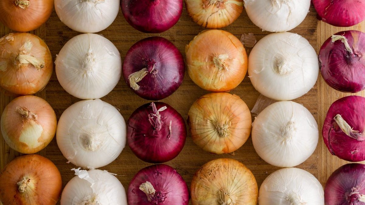 Red, white and yellow onions on counter