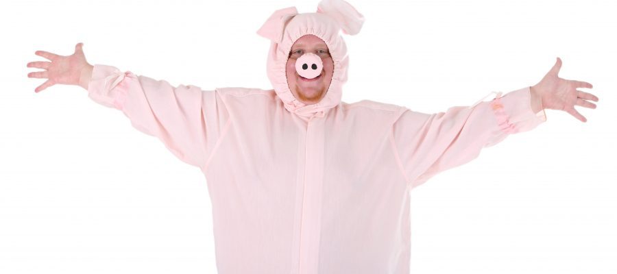Best Adult Pig Costume