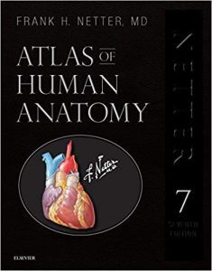 Frank H. Netter Atlas Of Human Anatomy