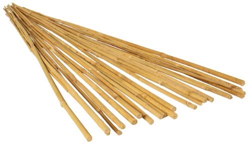 GROW!T Hydrofarm Natural Finish Bamboo Garden Fence Stakes, 25-Piece