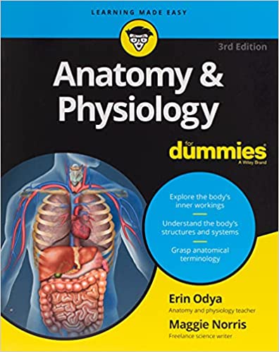 Odya & Norris Anatomy & Physiology For Dummies