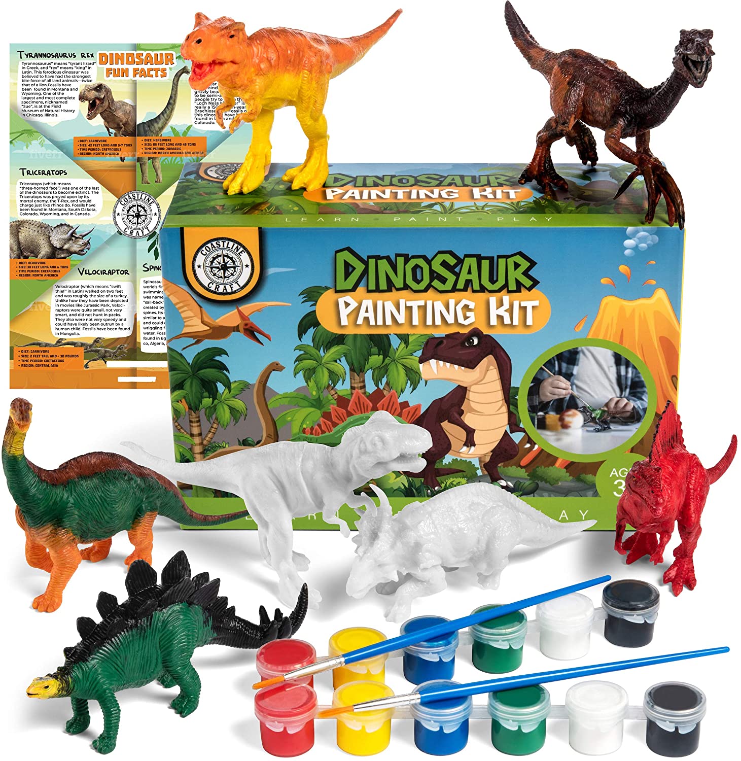 COASTLINE CRAFT Plastic Dinosaur Models Painting Kit Dinosaur Gifts For Boys