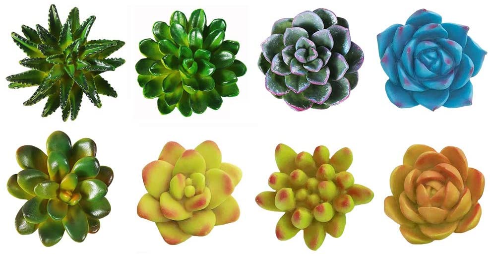 CoCoMe 3D Resin Succulent Plants Refrigerator Magnets, 8-Count