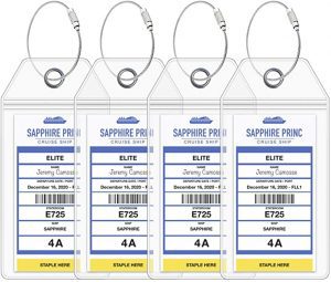 Cruise On Waterproof Pouch Cruise Luggage Tags, 4-Pack