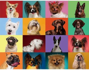 HighFun Dog Portraits 500-Piece Puzzle For Adults