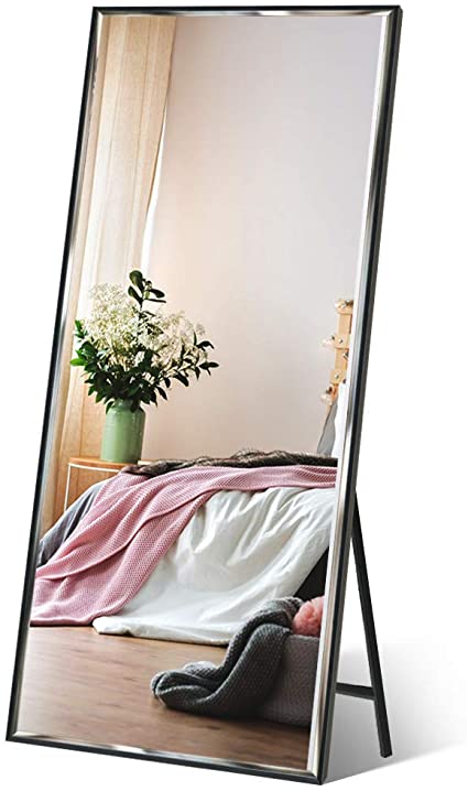 ZBEIVAN HD Rectangle Oversize Floor Mirror, 65 x 23.6-Inch