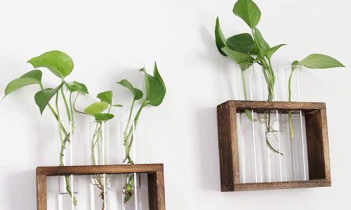 Plant propagation stand for growing cuttings