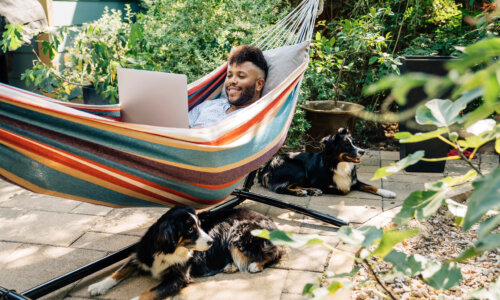 Man relaxing in hammock working on laptop computer