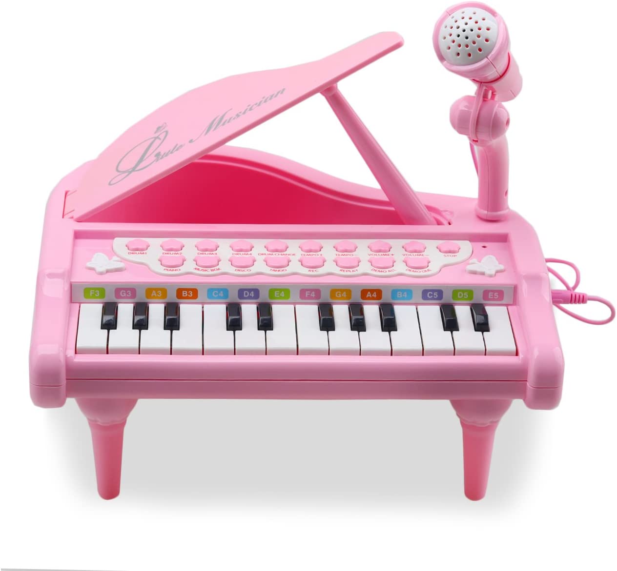 Amy&Benton Karaoke Developmental Toy Piano