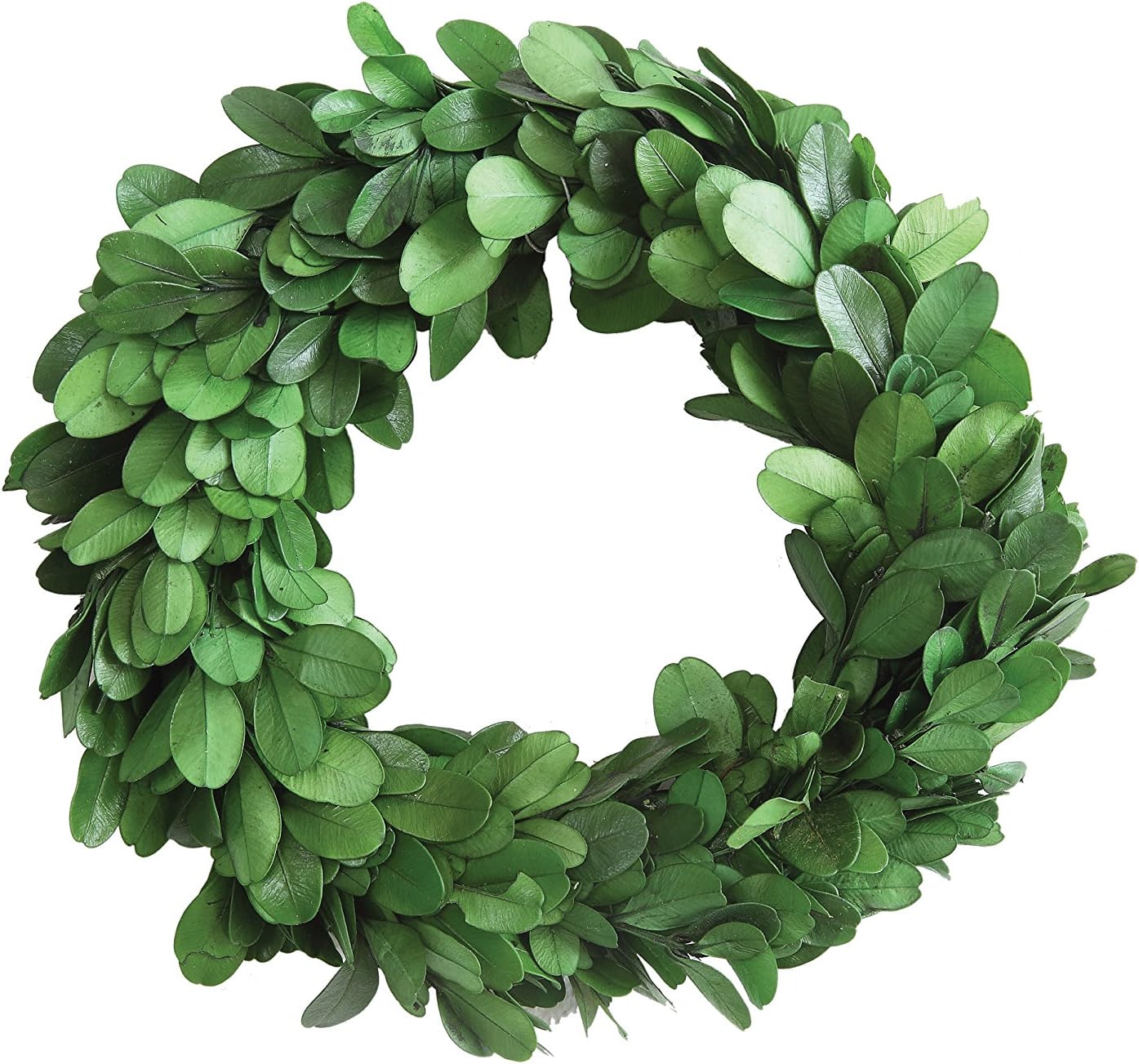 Creative Co-Op Real Preserved Boxwood Leaves Wreath, 6-Inch