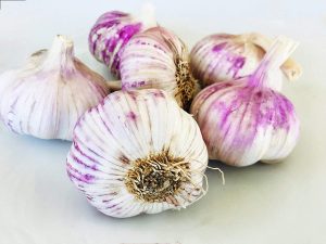 Kejora Organic Purple Garlic Bulbs For Planting, 2-Pounds