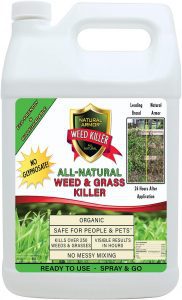 Natural Armor Glyphosate-Free Concentrated Weed Killer